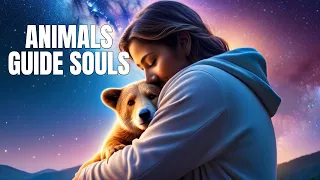 Soul Journey - The Spiritual Significance of our Animal Companions