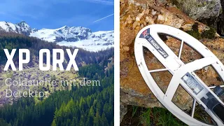 ⚒ Die Goldsuche mit dem Detektor - XP ORX ⚒ Sondeln nach Gold