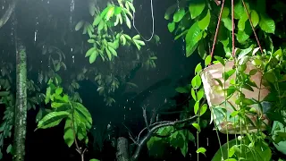 "Nighttime Downpour ASMR: Soothing Sounds of Heavy Rainfall for Relaxation"