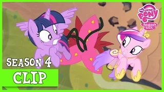 Discord's Friendship Test (Three’s a Crowd) | MLP: FiM [HD]