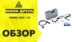 Дрель-мини (гравер, дремель) DREMEL 3000-1/25