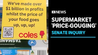 Greens move to establish Senate inquiry into 'price-gouging' by Coles and Woolworths | ABC News