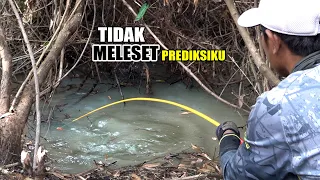 Tak terkendali!!! Tarikan maut melibas joran pemancing rawa #SG-307