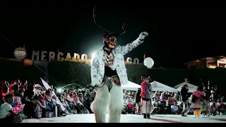 Festival de danzas Indigenas