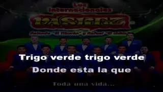 Trigo Verde Karaoke - Los Internacionales Vaskez