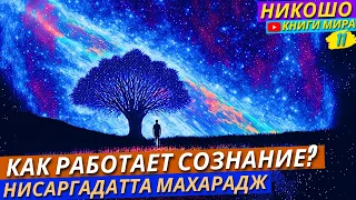 ЗАДУМАЙСЯ! После Этих Слов Твоя Жизнь Измениться! Речь Нисаргадатта Махараджа Которая Изменит Всё!