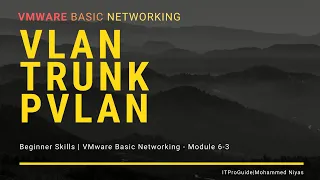 VMware Basic Networking Distributed Switch | VLAN, TRUNK, PVLAN Module 6-3