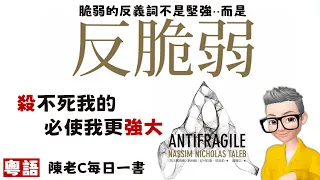 殺不死我的 必使我更強大丨學校沒有教你的最重要的知識丨《反脆弱》丨普通人如何在逆境之中更加強大？丨如何讓自己內心強大？丨1 脆弱丨2 加固丨3 反脆弱丨槓鈴策略丨冗餘丨 Nassim Nich