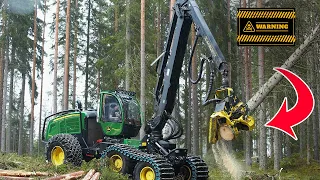 How DANGEROUS Is Working in Logging? - Wood Harvester