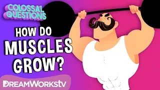 How Do 💪Muscles Grow? | COLOSSAL QUESTIONS