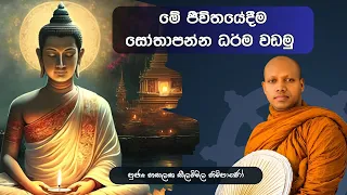 Ven.Hasalaka seelavimala thero (මේ ජීවිතයේදීම සෝතාපන්න ධර්ම වඩමු) Sangha Dhara (සංඝ ධාරා )