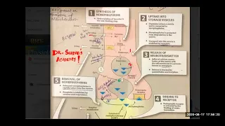 Lec 7 Synthesis of Nor Epinephrine - FIRST AID - Lippincott by Dr. Shadab