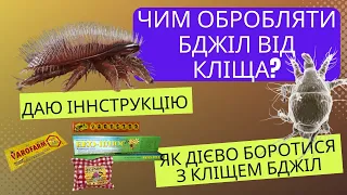 Як обробляти бджіл від кліща? Що використовувати? Як вбити трахейного кліща? Лікуємо бджіл разом!