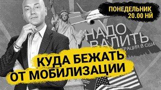 Куда бежать из России, как попасть в США, политическое убежище для тех, кто не хочет воевать