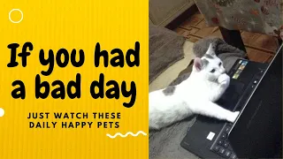 If you had a bad day, just watch these daily happy pets | Day 24