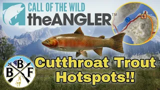Hotspot Guide: Cutthroat Trout - Plus Hook Size, Bait and Lure!! | Call of the Wild: theAngler