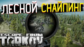 Завалил Весь Отряд 🎥 в Escape From Tarkov