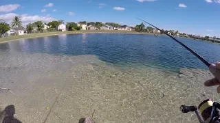 A New Giant PB - Pond Fishing Crystal Clear Water