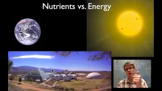 Biogeochemical Cycling