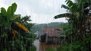 Afternoon Rain in My Village, The Sound is Soothing and Eliminates Anxiety Until You Fall Asleep