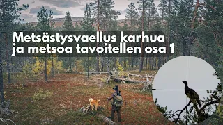 Metsästysvaellus karhua ja metsoa tavoitellen OSA 1 | Erältä ja Elämästä