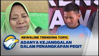 Pegi Setiawan Satu Satunya DPO Kasus Vina Dinilai Janggal