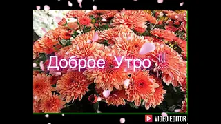 Доброе Утро !!!