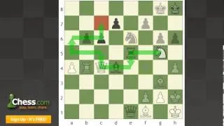 Chess Tactics: Knight Fork Signals!