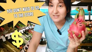 Grocery Shopping In Russia | Delivery Services and Prices | Russian Life