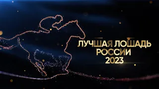 Лучшая лошадь России 2023 года. Церемония награждения. 21 декабря 2023 года