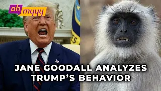 Jane Goodall Weighs In On Trump (PRICELESS) | George Takei’s Oh Myyy