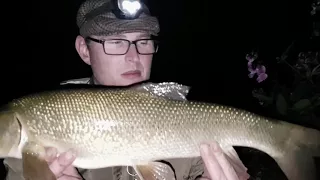 River Ribble Fishing Diaries. Day 7. Quest For Big Barbel
