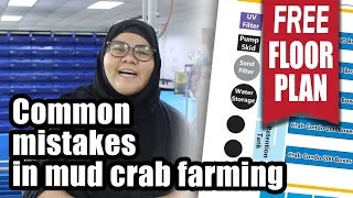 Common mistakes in mud crab farming