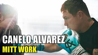 Canelo Alvarez Mitt Work