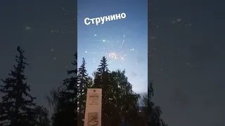 город Струнино 🦁