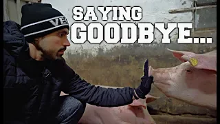 VEGAN ENTERS SLAUGHTERHOUSE | SAYING GOODBYE | PART 1