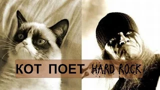 Кот поет хард - рок