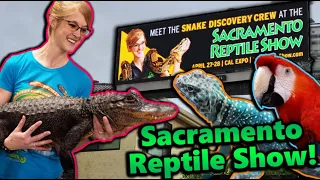 Attending the Sacramento Reptile Show!!