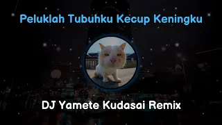DJ Peluklah Tubuhku Kecup Keningku ( Ayang ) - Remix Viral Tiktok 2022