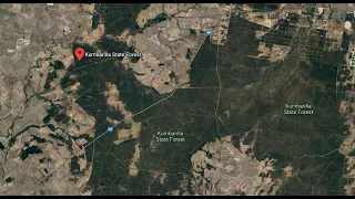 Yowie ( Bigfoot ) sightings at Kumbarrilla State Forrest and the Pilliga