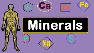 Mineral (Nutrition) Macro & Trace - Functions & Sources | Human body