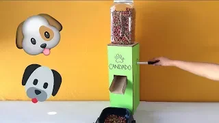 Como hacer un dispensador  de comida para  perros  solo de cartón