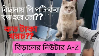 বিড়ালের নিউটার করালাম /কত টাকা লাগলো?,Cat neutering A-Z/   #costofcatneuter #catneuter #neuterspay