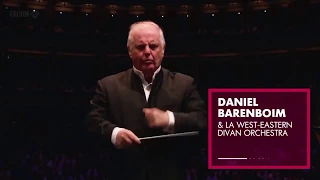 Por primera vez en Chile: Daniel Barenboim y la West Eastern Divan Orchestra