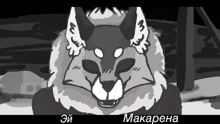 Эй Макарена ! { tiny bunny|Зайчик  }(meme(?)animation)