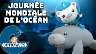 Octonauts - Journée mondiale de l'océan | Dessins animés pour enfants