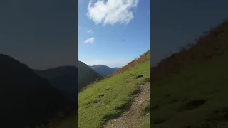 Mach Loop 16/10/2020