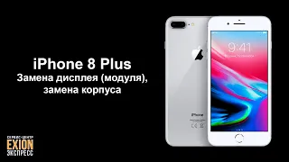 iPhone 8 Plus – Замена дисплея (модуля), замена корпуса