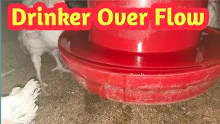 How to repair auto drinker in poultry