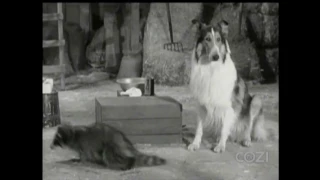 Lassie - Episode #352 - "The Samaritans" - Season 10, Ep. 29 - 5/3/1964